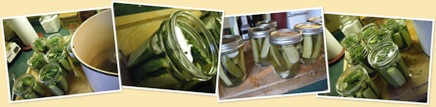 View pickles