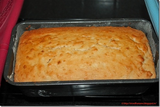 IMG_2158 IMG_2158