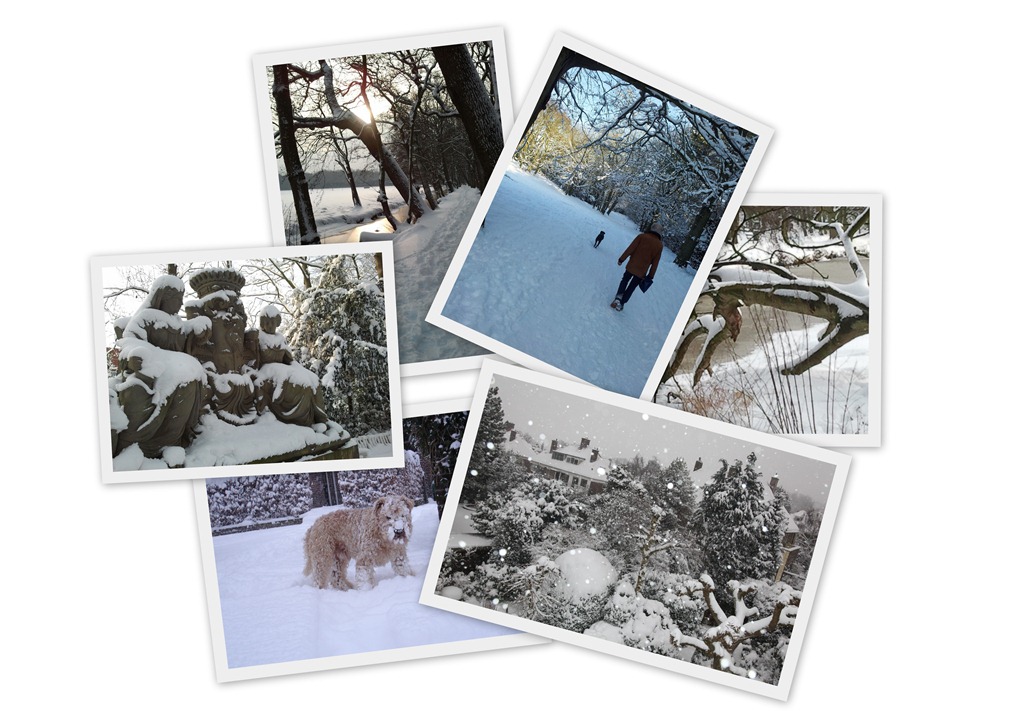 [Marlot_winter_2013%255B6%255D.jpg]