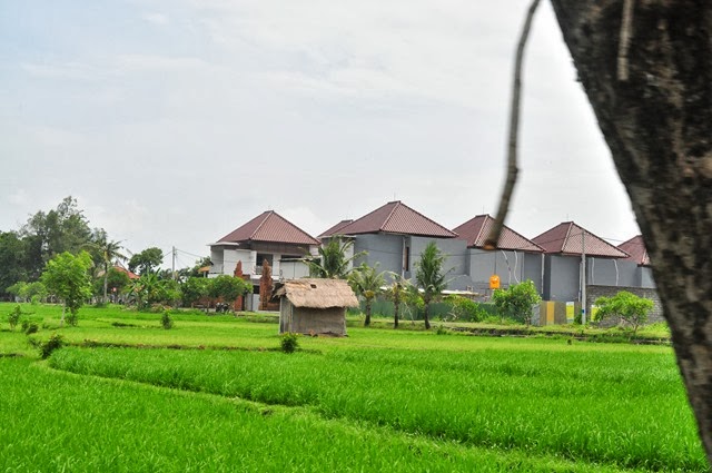 [DSC_0105%255B3%255D.jpg]