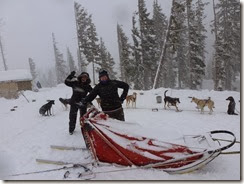 Dog sled 2014, snow 017 - Copy