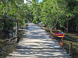 One of the paths in the middle of Ile Aux Nattes, beautiful and rustic. Madagascar6 - 039.jpg