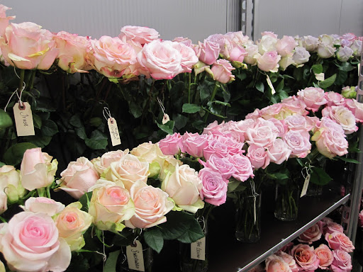 A selection of roses in the store.