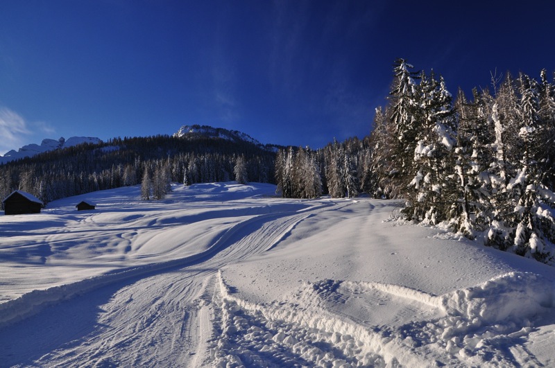 DSC_5957.JPG DSC 5957