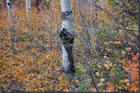 DSC_0081 DSC_0081