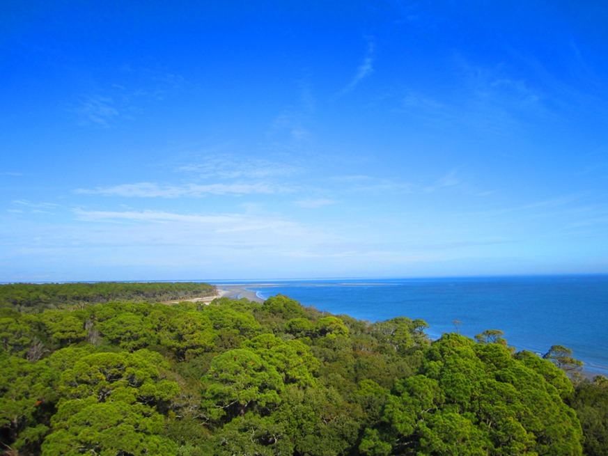 [08-LH-forest-top-view3.jpg]