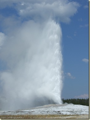 DSCF8013