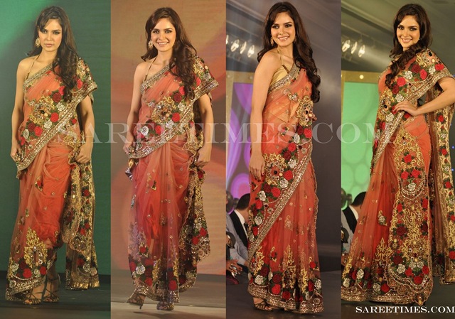 [Neha_Dhupia_Embroidery_Saree%255B3%255D.jpg]