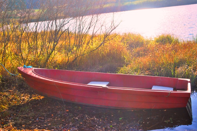 [Autumn%25202011%2520-%2520Tiny%2520Boat%2520Oct%252016%255B3%255D.jpg]