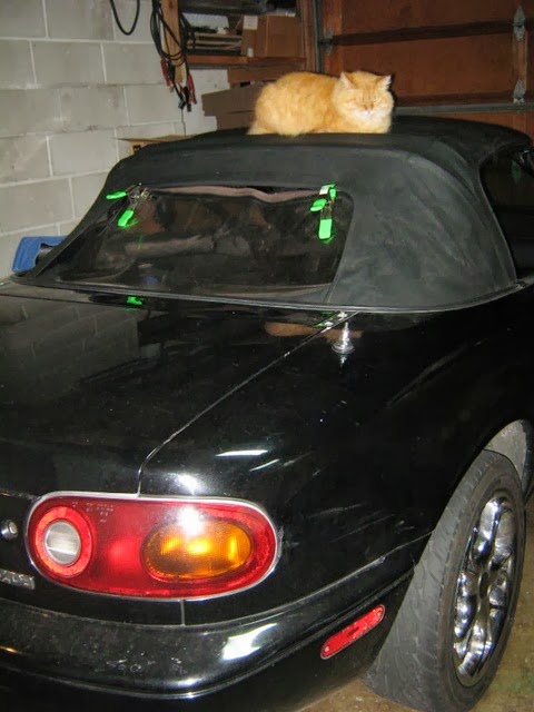 [IMG_0387%255B4%255D.jpg]