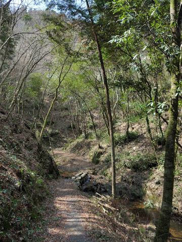 八曽滝遊歩道