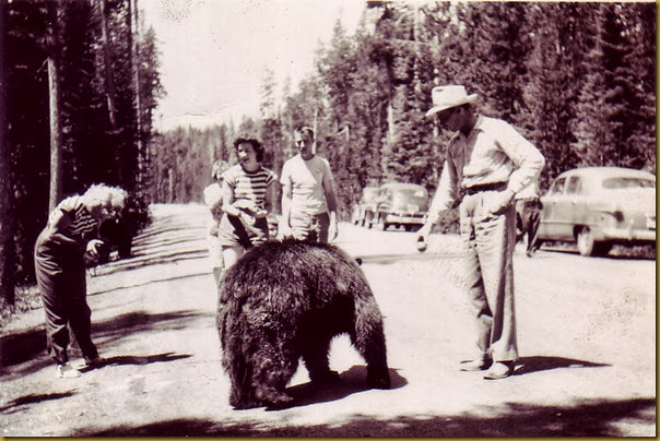 Stolen internet photo--Vic and his sisters feeding the Yellowstone bears vic at ys in 1950s