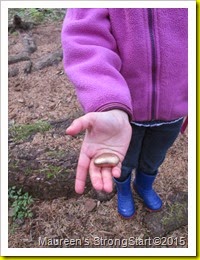 IMG_5635 IMG_5635