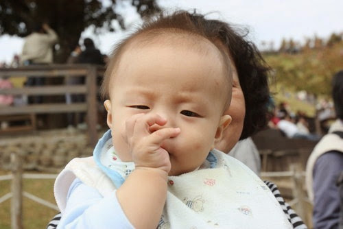 Q5Mtu1F1a Q5Mtu1F1a