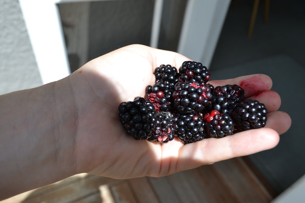 [DSC_1147%255B5%255D.jpg]