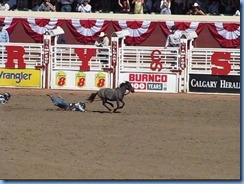 9514a Alberta Calgary - Calgary Stampede 100th Anniversary - Stampede Grandstand - Calgary Stampede Wild Pony Race