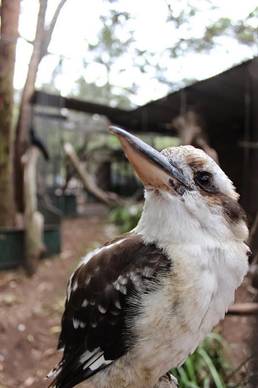 Wishful Thinking IMG_8811