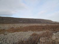 IMG_3219.JPG Photo