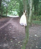 dog poo fairy_web