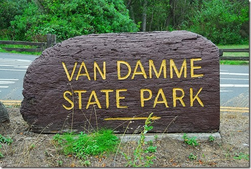 Van Damme Sign