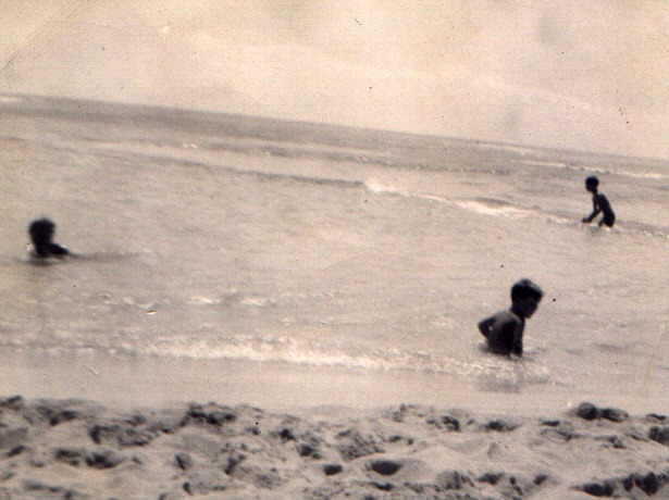 [Alma-M72.jpg]