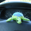 Mr. Turtle.
 The faithful turtle.