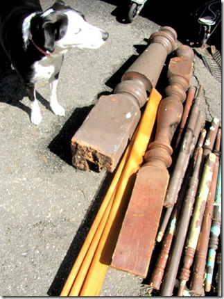 wooden posts and Bunny