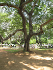 Park