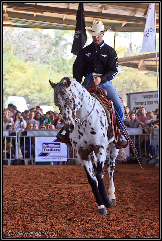 il/Фото: Stallion Show 2011 (20110416 stllion show 054 2180)