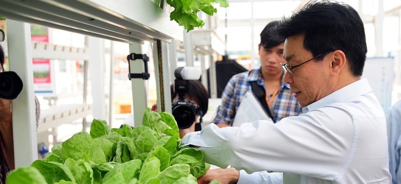 skygreens-vertical-farm-4 skygreens-vertical-farm-4