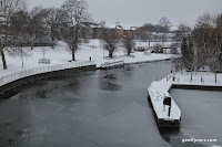 IMG_4784.JPG Photo
