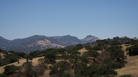 DSC03043.jpg