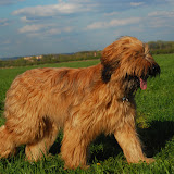 Abi - DSC_0306.jpg