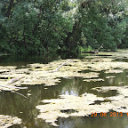 DSCN8314.JPG
