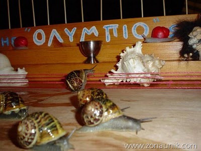 [snail_race%255B3%255D.jpg]