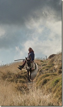 the-woman-and-the-donkey