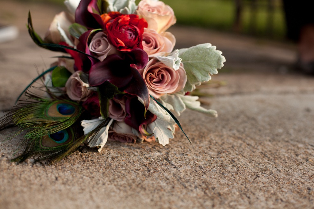 [5839334468_4e3e9fe82e_b-katie-pollar%255B1%255D.jpg]