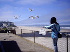 Morning at Lincoln City (12).JPG