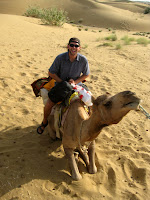 Camel Safari
