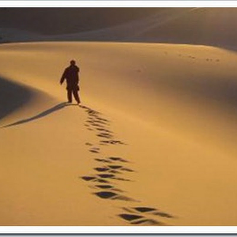 The Desert…