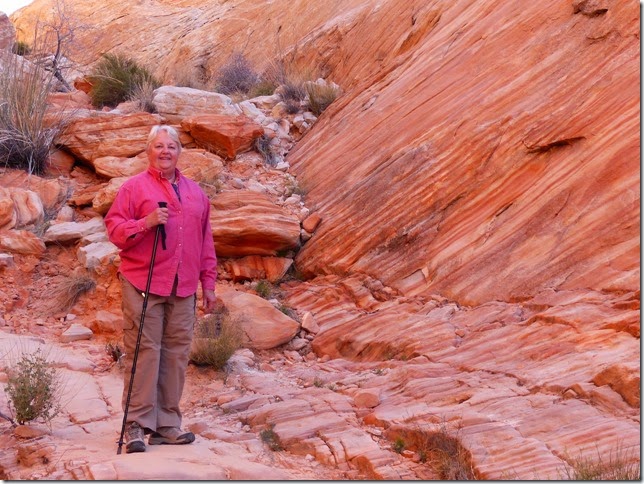 09Valley of Fire021
