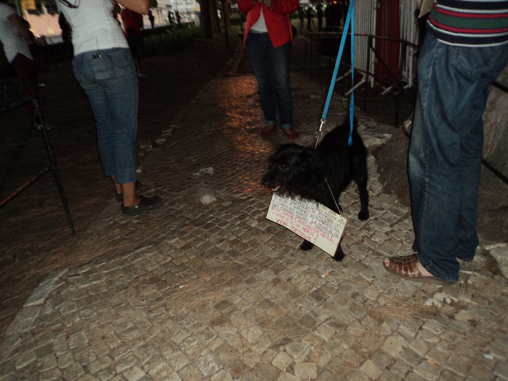 [DSC09553%255B3%255D.jpg]