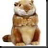 MARMOTA MARMOTA