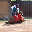 2EncontrodeMuladeiros-383.JPG