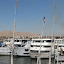 IMG_8575.JPG