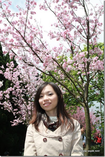 2010陽明山花季-合照 2010陽明山花季-合照