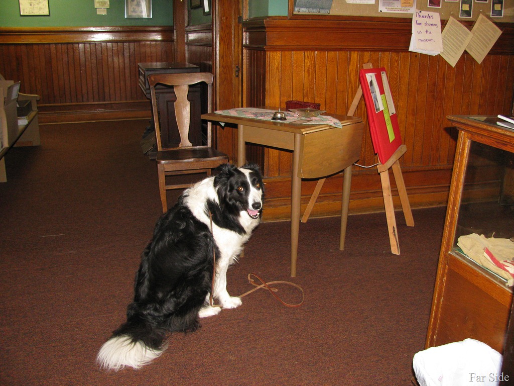 [I%2520could%2520volunteer%255B11%255D.jpg]