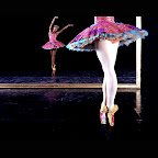 Odile and Odette, 2005