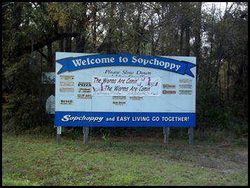 Ochlockonee 015