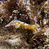 P3037641